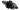 SK40
