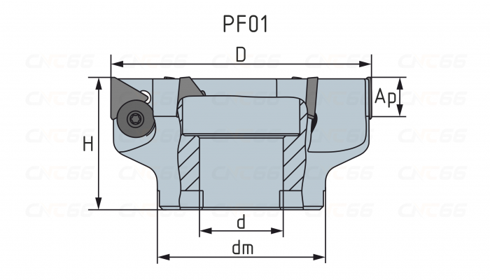 PF01.22B40.125.06 Фреза торцевая насадная