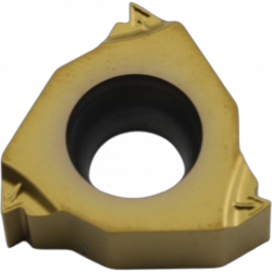 RT16.01N-1.25GM-YBG201 Пластина резьбовая